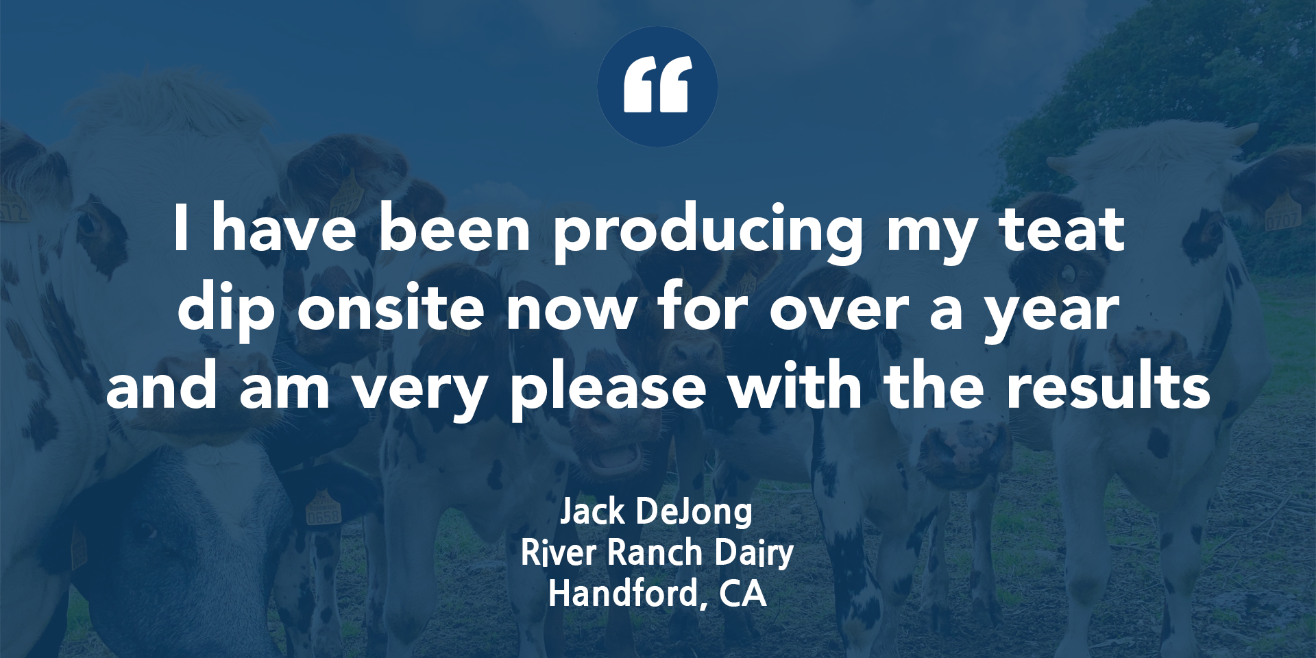 https://clearinnovation.net/wp-content/uploads/2024/12/Testimonial-Clear-Jack-DeJong-02.png